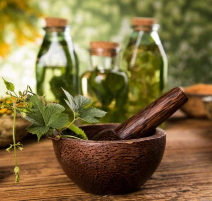 phytothérapie à Toulouse en Haute-Garonne 31