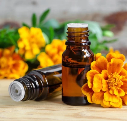 aromathérapie à Toulouse en Haute-Garonne 31